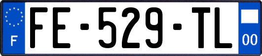 FE-529-TL
