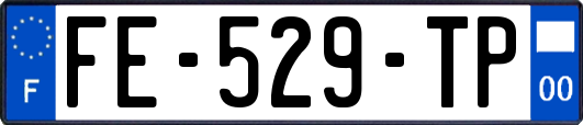 FE-529-TP
