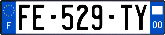 FE-529-TY
