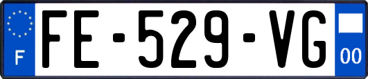 FE-529-VG