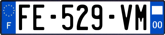 FE-529-VM