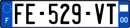 FE-529-VT