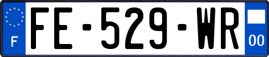 FE-529-WR