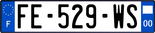 FE-529-WS