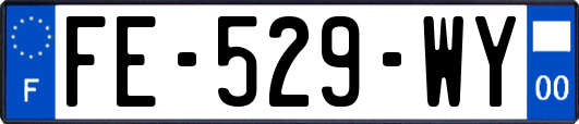 FE-529-WY
