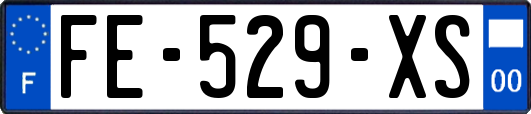 FE-529-XS