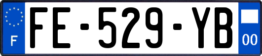 FE-529-YB