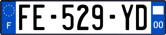FE-529-YD