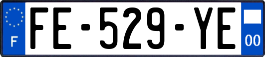 FE-529-YE