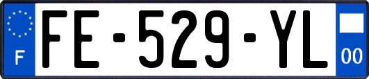 FE-529-YL