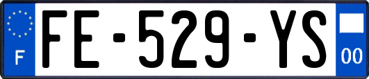 FE-529-YS