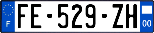 FE-529-ZH