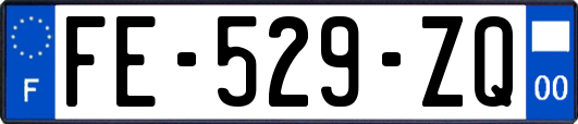 FE-529-ZQ