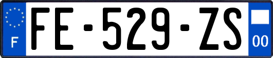 FE-529-ZS