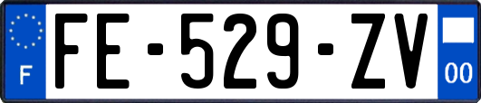 FE-529-ZV