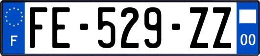 FE-529-ZZ