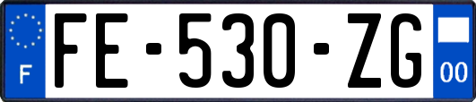 FE-530-ZG