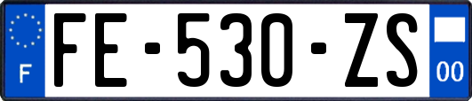 FE-530-ZS