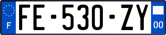 FE-530-ZY