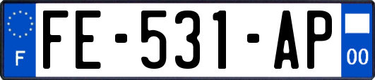 FE-531-AP