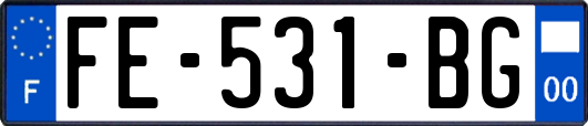 FE-531-BG