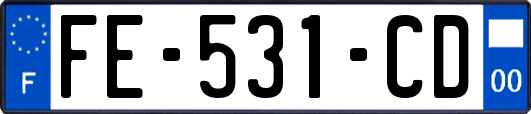 FE-531-CD