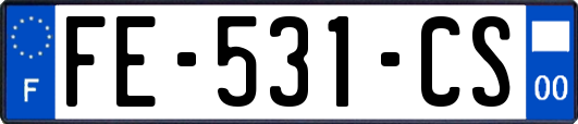 FE-531-CS