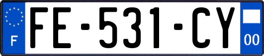 FE-531-CY