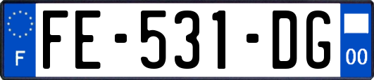 FE-531-DG