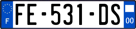FE-531-DS