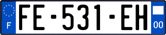 FE-531-EH