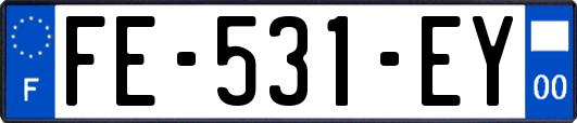 FE-531-EY