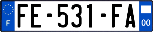 FE-531-FA