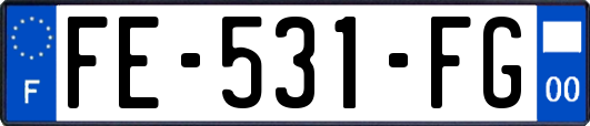 FE-531-FG