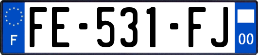 FE-531-FJ