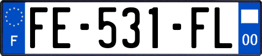 FE-531-FL