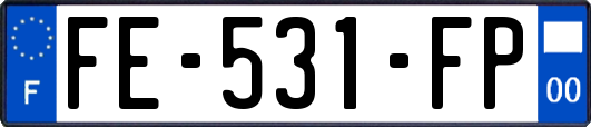 FE-531-FP