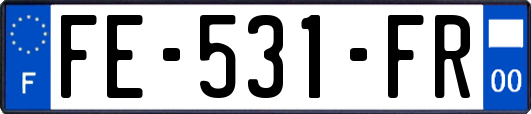 FE-531-FR