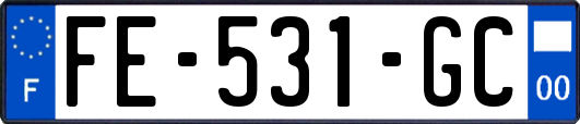 FE-531-GC