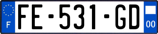 FE-531-GD