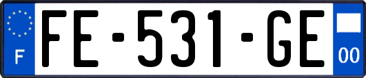 FE-531-GE