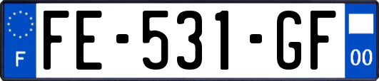 FE-531-GF