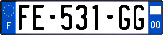 FE-531-GG