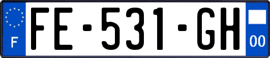 FE-531-GH