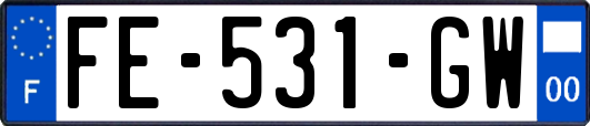 FE-531-GW