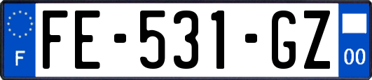 FE-531-GZ