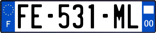 FE-531-ML