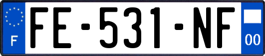 FE-531-NF