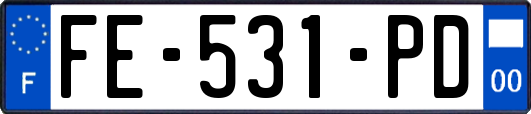FE-531-PD