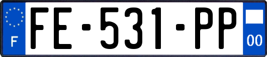FE-531-PP